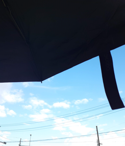 日傘からの、残暑の光景