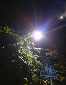 街灯と、横断歩道の標識.
