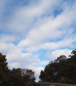 Sky of the autumn